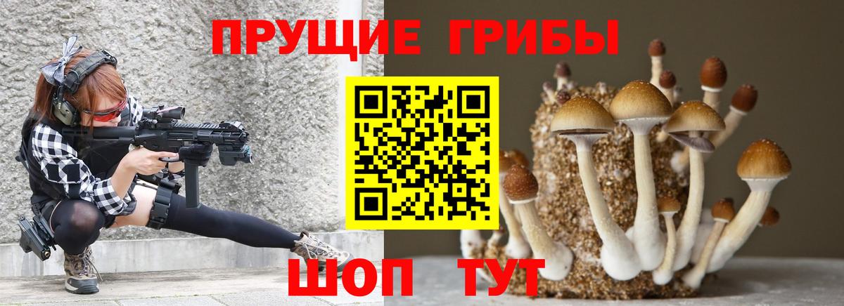 Галлюциногенные грибы Psilocybe  Псилоцибиновые грибы MAGIC MUSHROOMS  Вход с VPN  Ульяновск 
