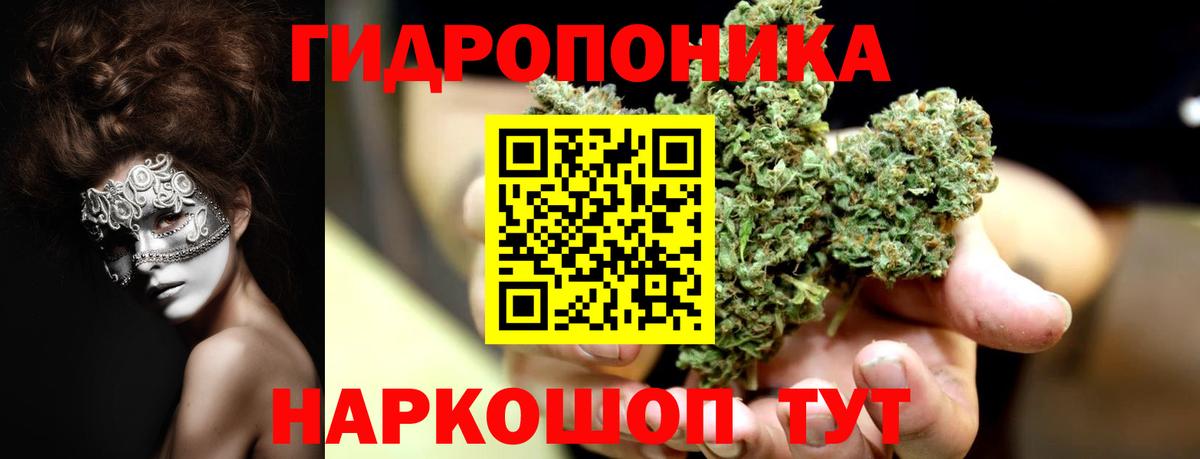Бошки Шишки планчик  МАРИХУАНА семена  Марихуана AK-47  Вход с VPN  Ульяновск 
